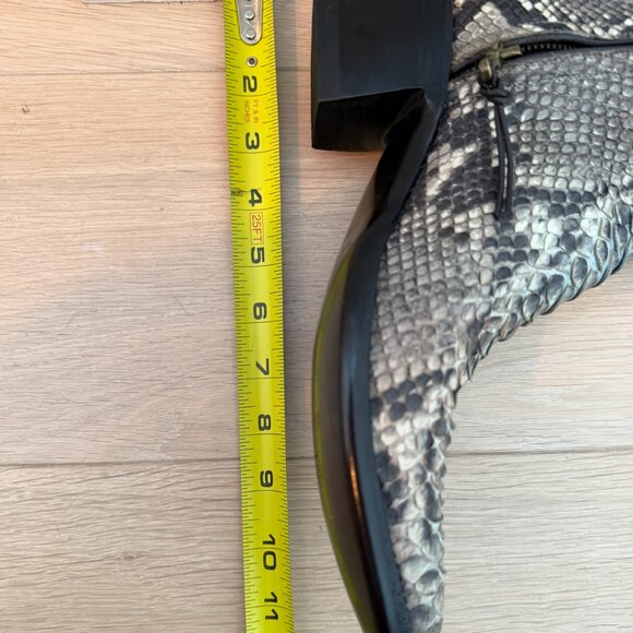 STALLION BLUE PYTHON ZORRO - Picture 8 of 9